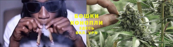 гашик Аркадак