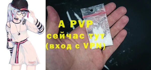 гашик Аркадак