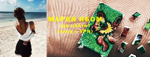 гашик Аркадак