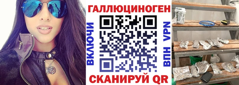 Псилоцибиновые грибы Psilocybine cubensis  Льгов 